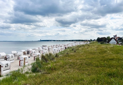 24-06-23 14-53-52 9809